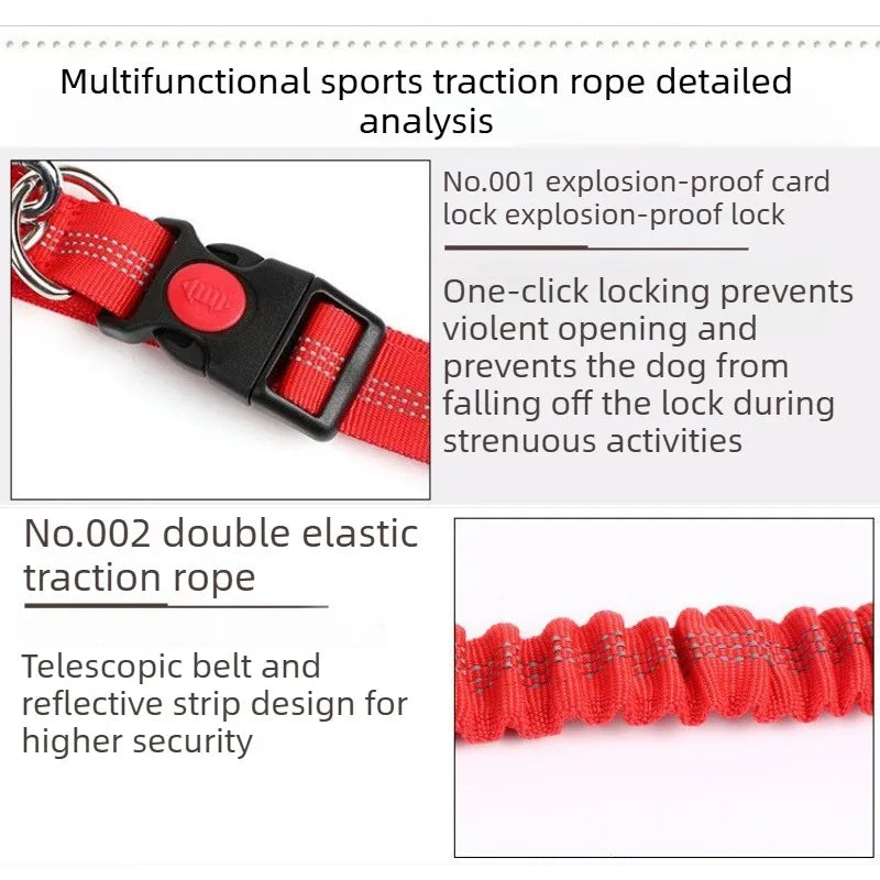RunFree™ Hands-Free Bungee Dog Leash