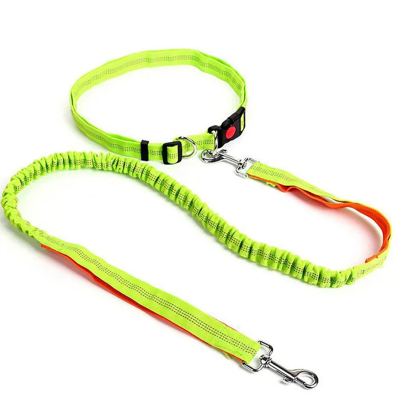 RunFree™ Hands-Free Bungee Dog Leash