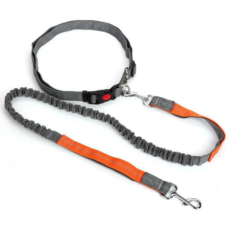 RunFree™ Hands-Free Bungee Dog Leash