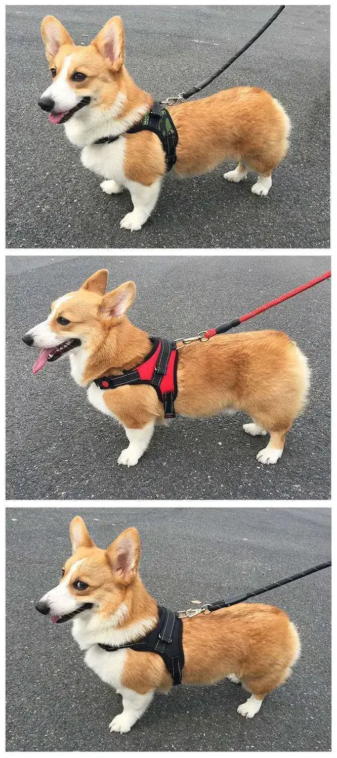 ComfyFit™ Adjustable Reflective Dog Harness