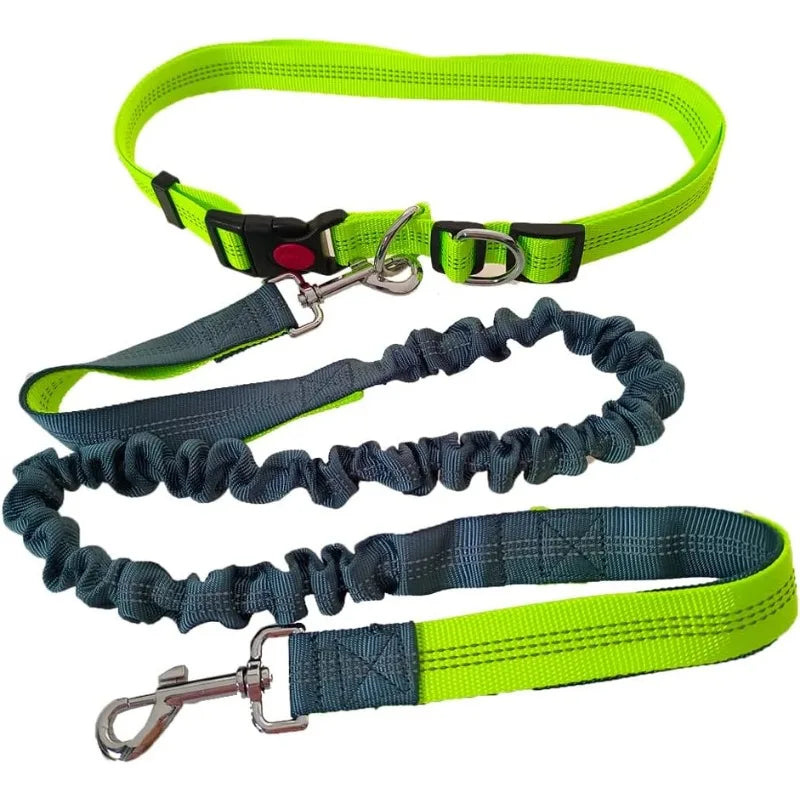 RunFree™ Hands-Free Bungee Dog Leash