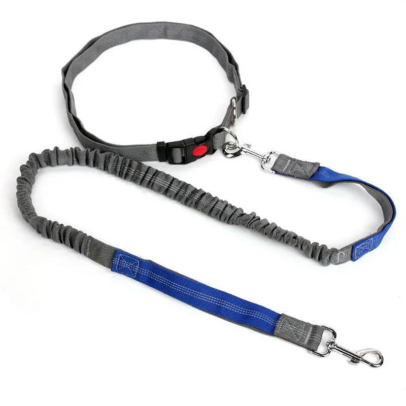 RunFree™ Hands-Free Bungee Dog Leash