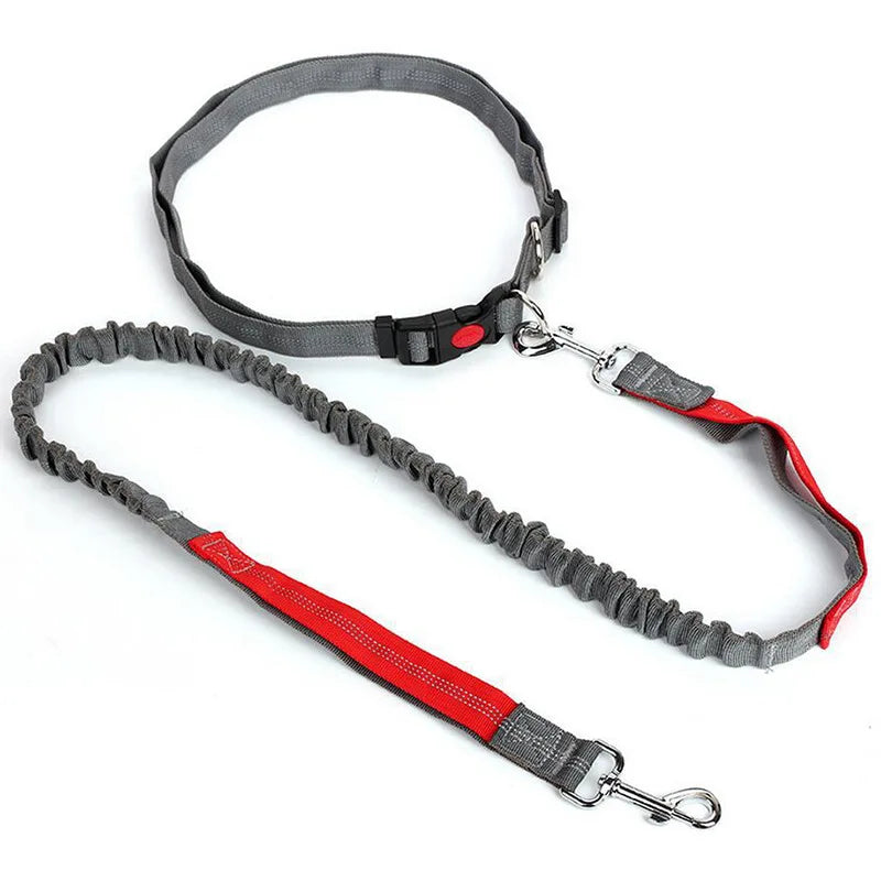 RunFree™ Hands-Free Bungee Dog Leash