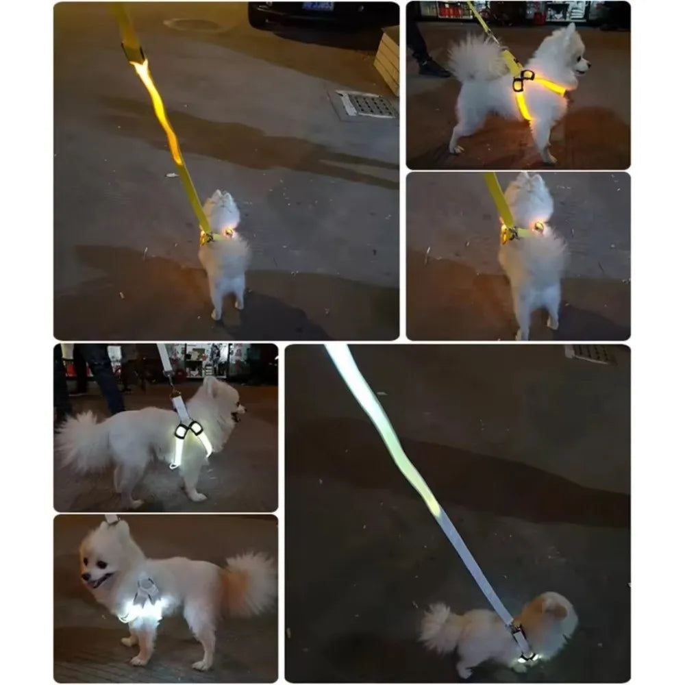 GlowFit™ Rechargeable LED Dog Harness