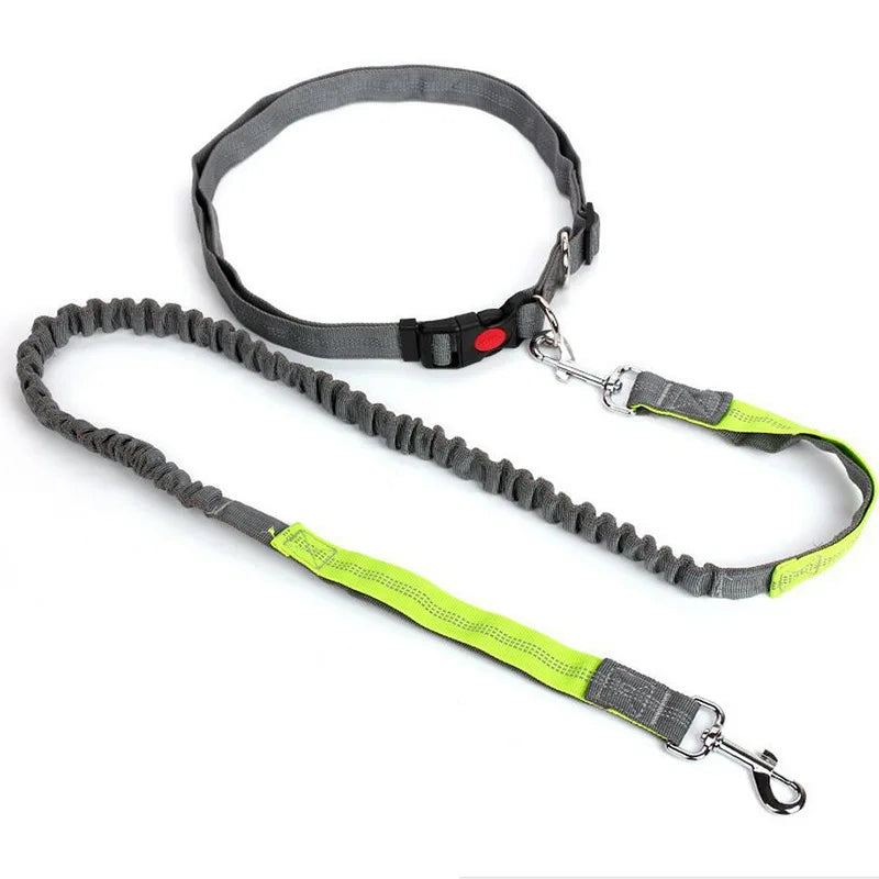 RunFree™ Hands-Free Bungee Dog Leash