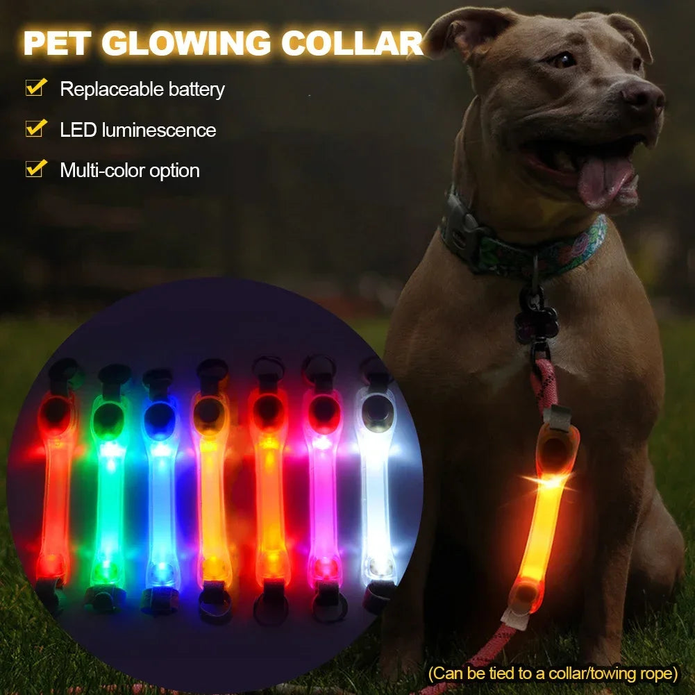GlowGuard™ LED Safety Light for Dogs